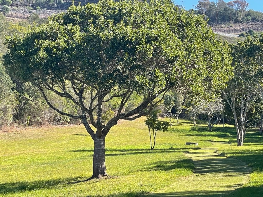  Bedroom Property for Sale in Schoongezicht Western Cape